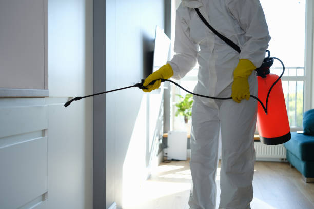 Best Crawl Space Mold Remediation in Hendron, KY