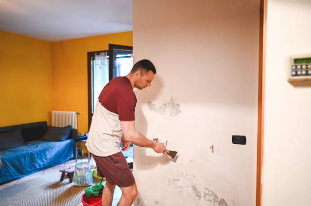 Best Kitchen Mold Remediation in Hendron, KY